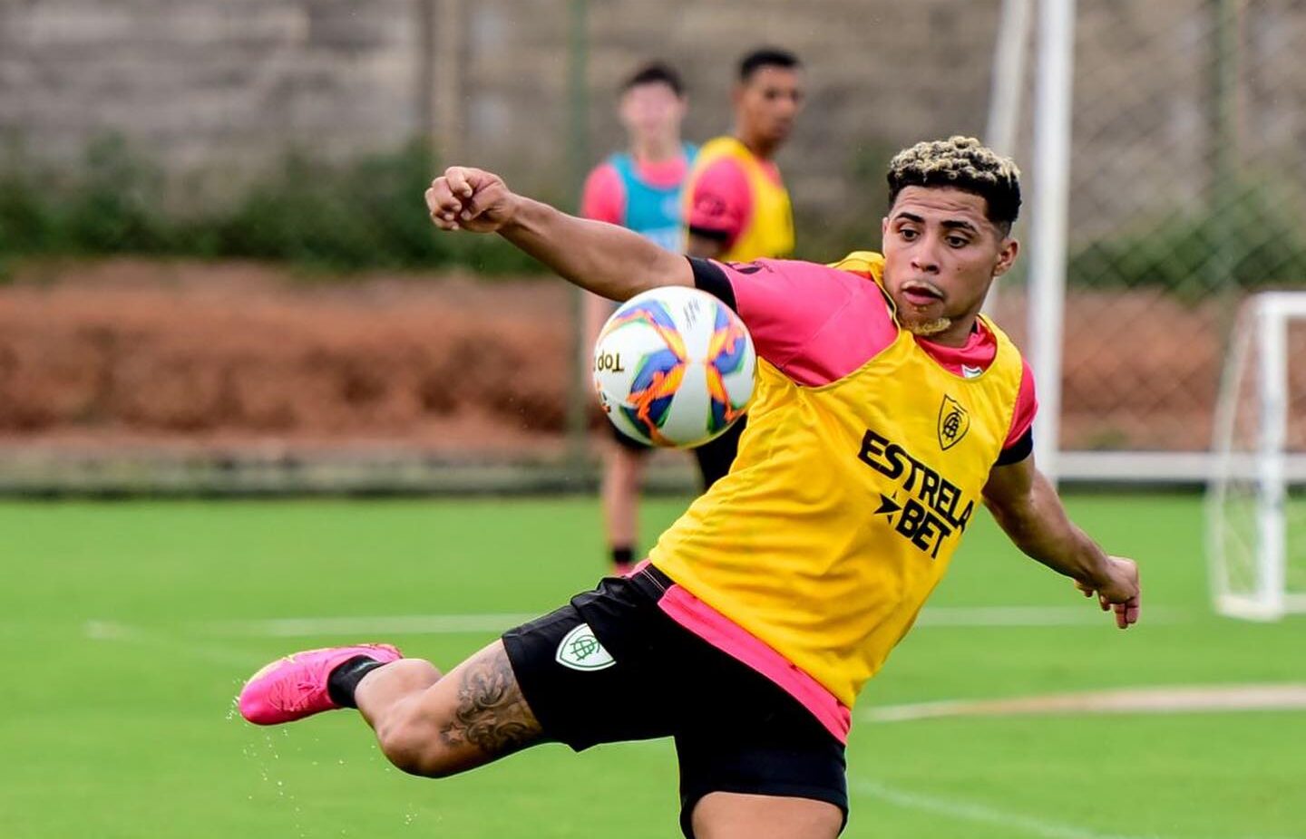 Vitor Jacaré