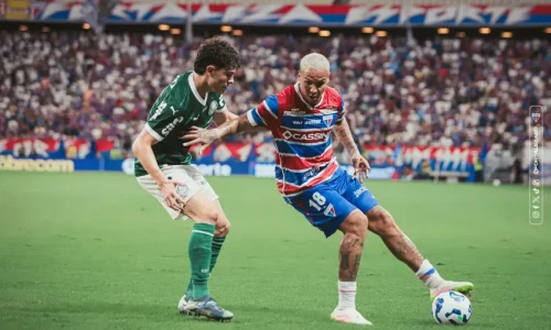 Palmeiras x Fortaleza / Deyverson